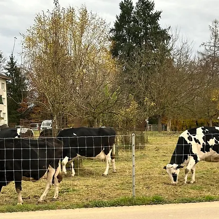 El's-guesthouse Bannwil