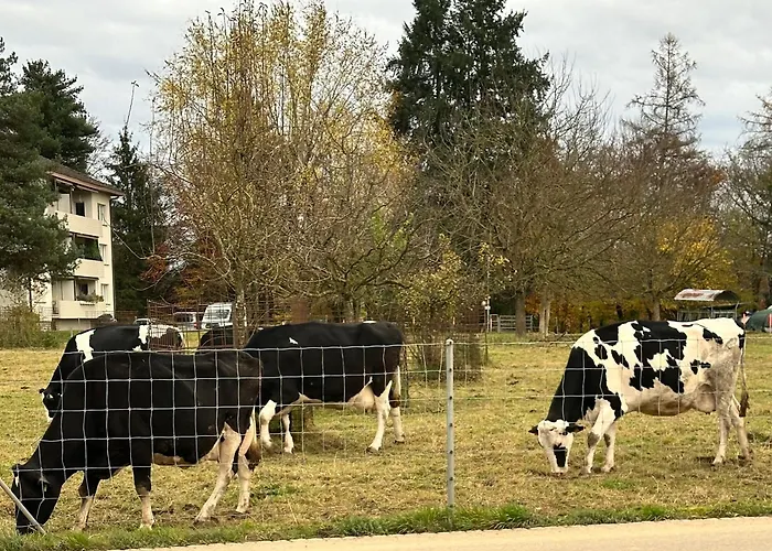 El's-guesthouse Bannwil